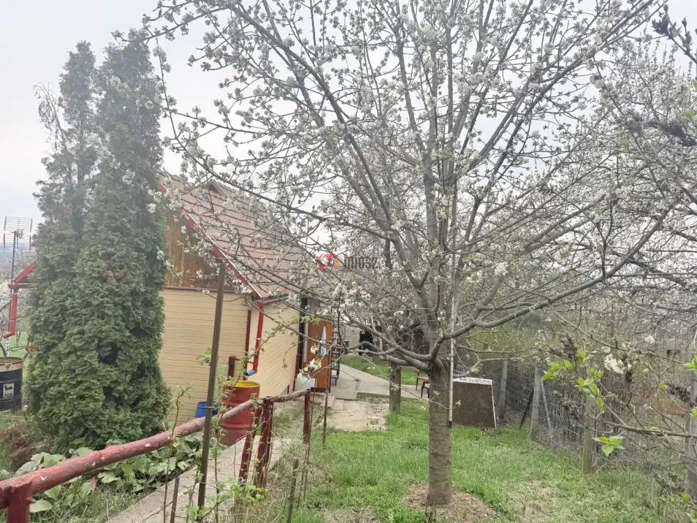 Pest megye - Gödöllő